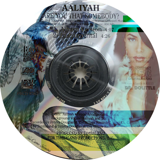 Aaliyah "Are You That Somebody" Art